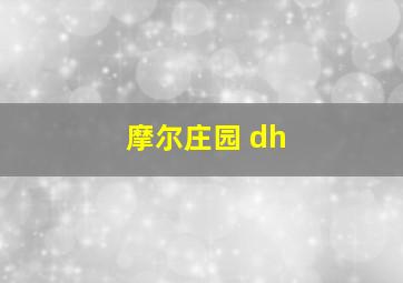 摩尔庄园 dh